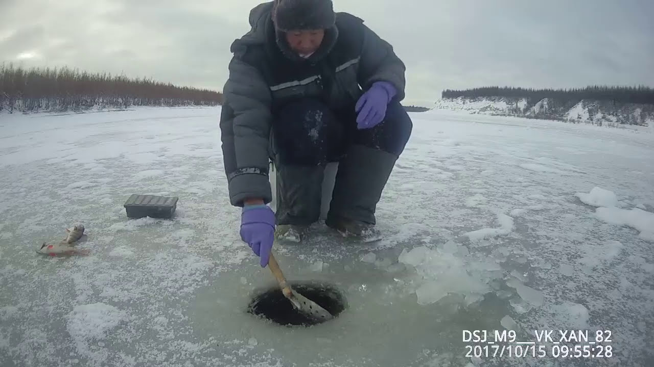 Утренний клев окуня Якутия Yakutia