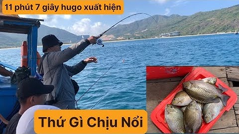 Câu Cá Biển Tự Nhiên, Câu Cần Ikada, Câu Đáy Hải Giang Nhơn Hải. TÝ FISHING ( Vietnamese fishing ).