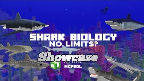 Shark biology addon showcase ( Minecraft PE Addon showcase )