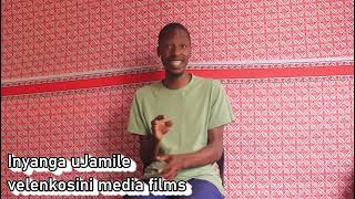 Inyanga Ujamile Ichaza Kabanzi Ikhuluma Kabanzi Ngenkinga Yesilwane Nokunye Okuningi