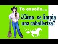 ¿Cómo se limpia una caballeriza? ¿cómo se hace la cama de un caballo?  Dedicale 15 mim al día.