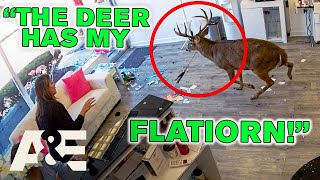 Customer Wars: NYC Chaos Turns Dangerous *Compilation* (Part 2) | A&E