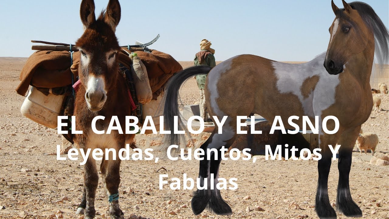 EL CABALLO Y EL ASNO - Leyendas, Cuentos, Mitos Y Fabulas - YouTube
