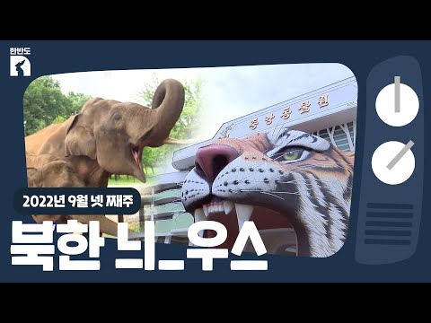 제로 코로나 선언한 북한, 동물원 홍보까지 | 티븨가이브北