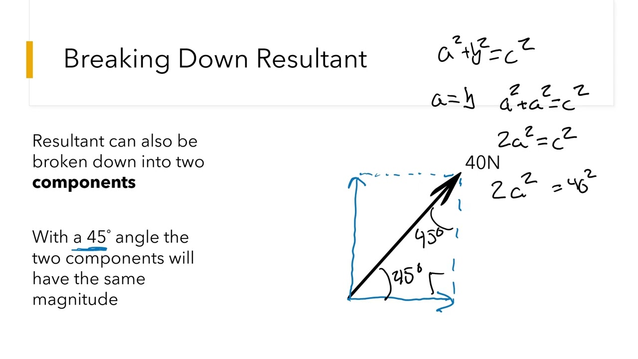 What is a Vector and What Can We Do With It