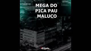 MEGA FUNK DO PICA PAU MALUCO - VAI SOLTANDO O PANCADÃO - TIK TOK @DjAlemaoSC