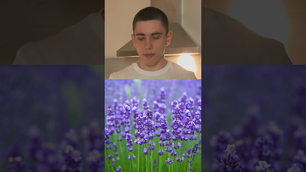 Meta Moon PRIME tastes like a Flower?