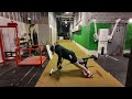 Incline YTW / ITY / TYT | Shoulder Stability &amp; Scapular Activation