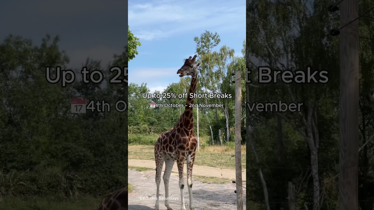 Up to 25% off Short Breaks this Howl'o'ween 