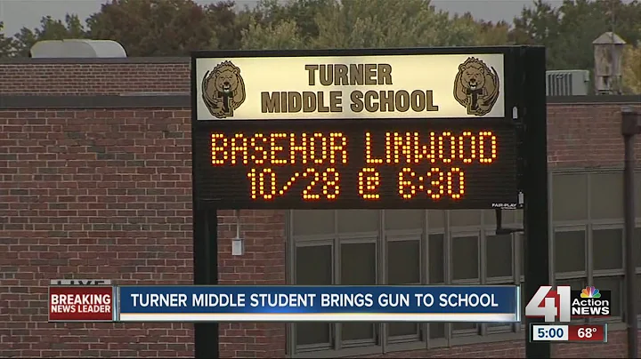Student in custody after bringing gun to school