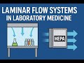 🔬 Understanding Laminar Flow Systems in Laboratory | Fundamentals, Applications &amp; Future Trends