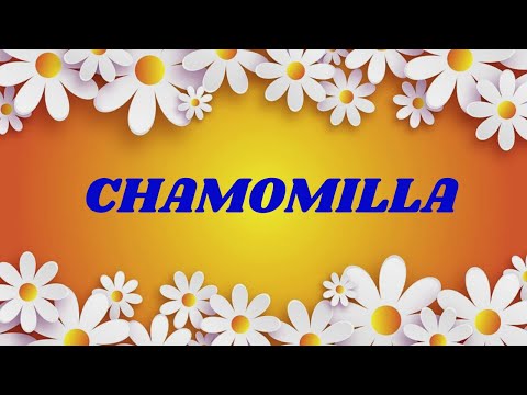 CHAMOMILLA HOMOEOPATHIC MEDICINE