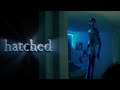 Hatched short horror film