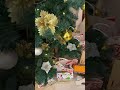 Money Christmas Tree 🥰🎄🥰 | Youtube #shorts