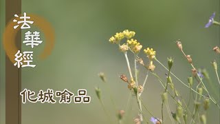 【靜思妙蓮華】法華經化城喻品 - 見光稀有 勸眾同求 - 20211021 第1007集