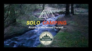 Solo Camping | Alone in Harwood Forest