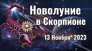 Новолуние в Скорпионе 13 Ноября 2023. Магия Новолуния и Сила Скорпиона