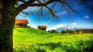 Slideshow with beautiful music (Alizbar – Last Fallen Leaf) (HD)
