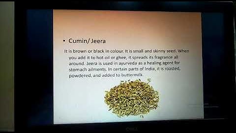 MLZS JHANSI CLASS 4 EVS Chapter 6 Spices Lecture 2