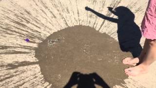 Water balloon popping in slow motion on the iPhone 6