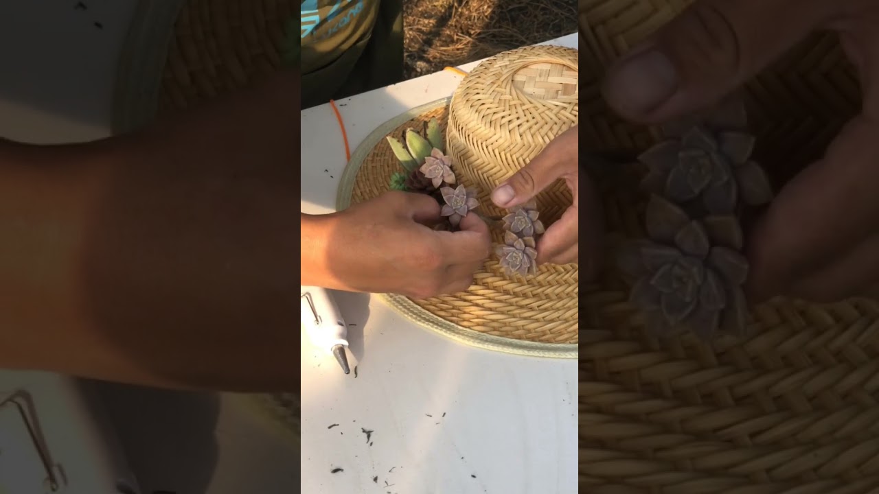 Tutorial crafts planting.