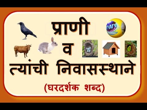 प्राणी व त्यांची निवासस्थाने (घरदर्शक शब्द)