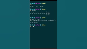 Linux - chattr command