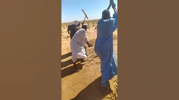 دق العيش 
