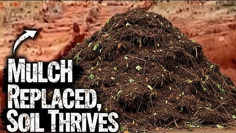 I Replaced Mulch With THIS: My Soil Is THRIVING!