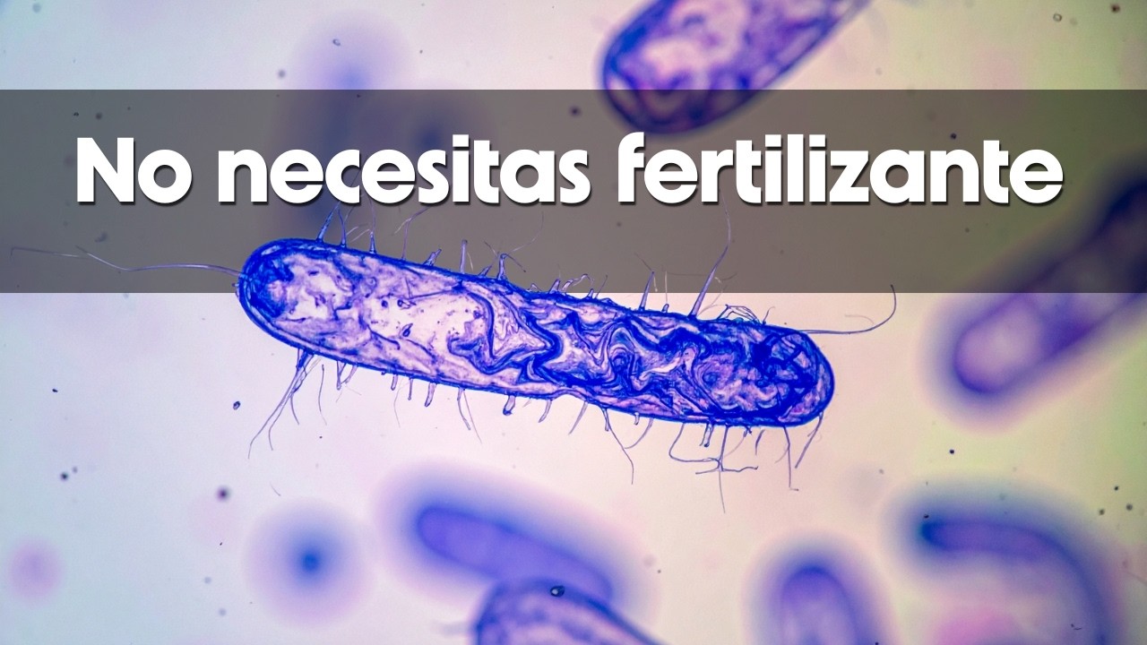 Cómo desbloquear los nutrientes infinitos de tu suelo 🤔 (Sin comprar productos)