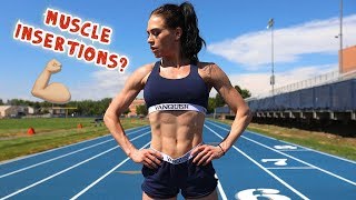 Genetics + Muscle Insertions