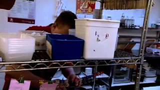 Squid Recipes For The Chinese Restaurant Compeion The F Word With Foxy Games