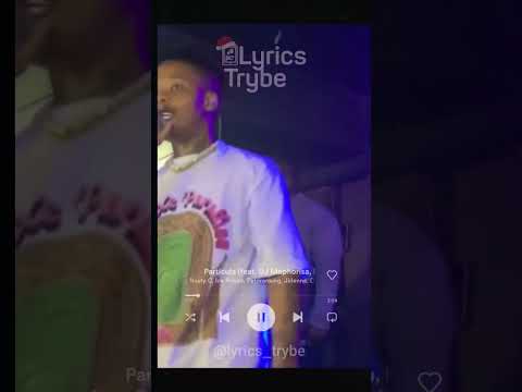 Major Lazer Et Al Ft Nasty C Particula Lyrics Lyricstrybe Afrobeats Lyricsvideo Music