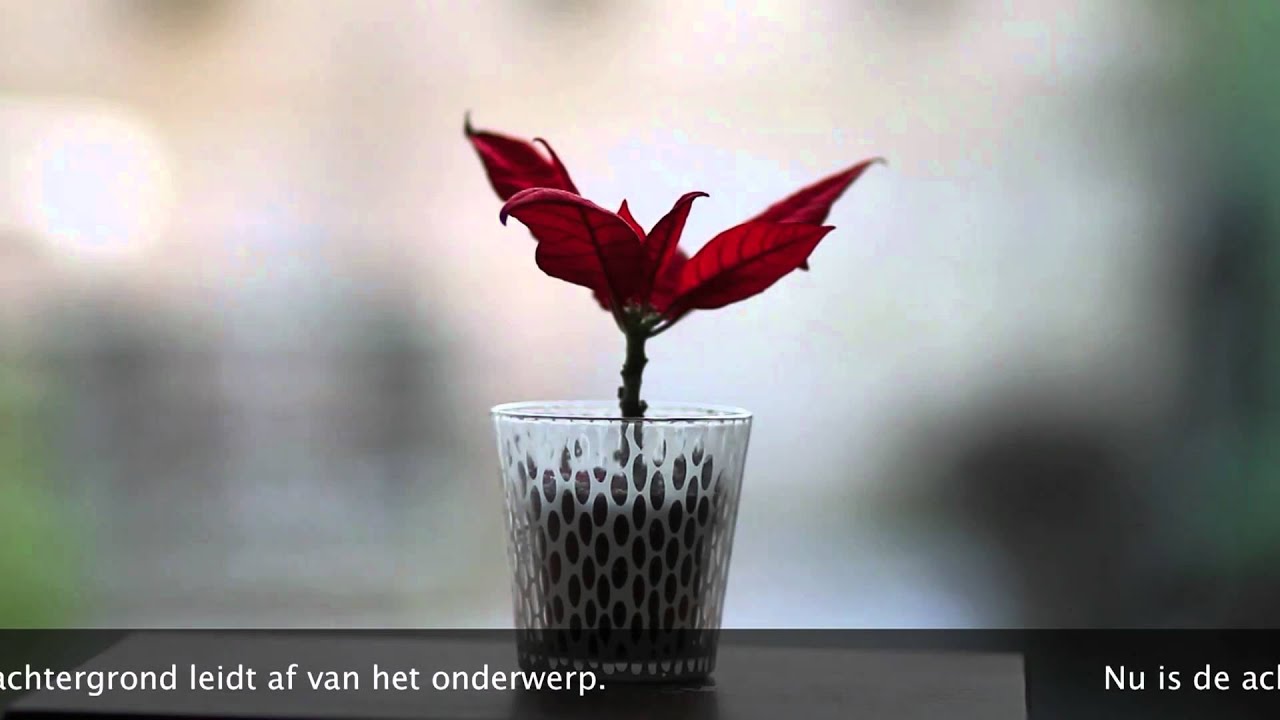 TECHNIEK Scherpte diepte