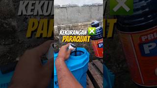 Kekurangan Herbisida Paraquat ❎️ ....... #farmlife #berkebun #agrikultur #bertani #pertanian