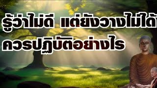 รู้ว่าไม่ดี แต่ยังวางไม่ได้ ควรปฏิบัติอย่างไร#พุทธวจน#พุทธวจนจันทร์เจ้า