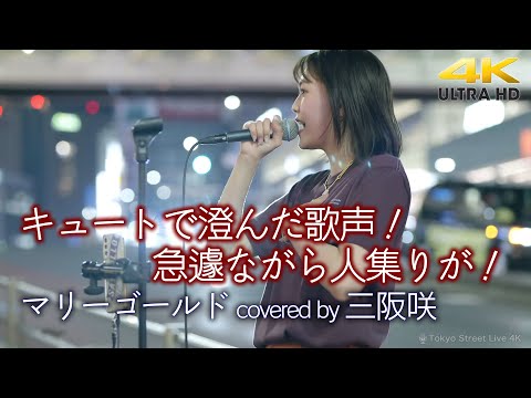 【 歌うま 】キュートで澄んだ歌声！急遽のライブながら人集りが！　 マリーゴールド / あいみょん（ covered by 三阪咲 ）4K映像