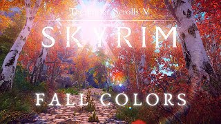 Skyrim SE 4K Music & Ambience | Walking Across Skyrim - Riften To Ivarstead | Ambient Music