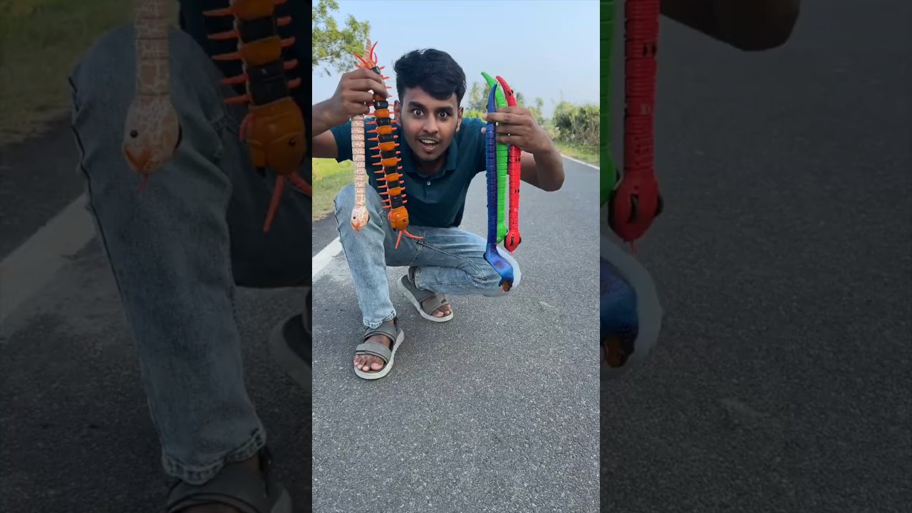 Testing  RC Snakes and RC Kankhajuara