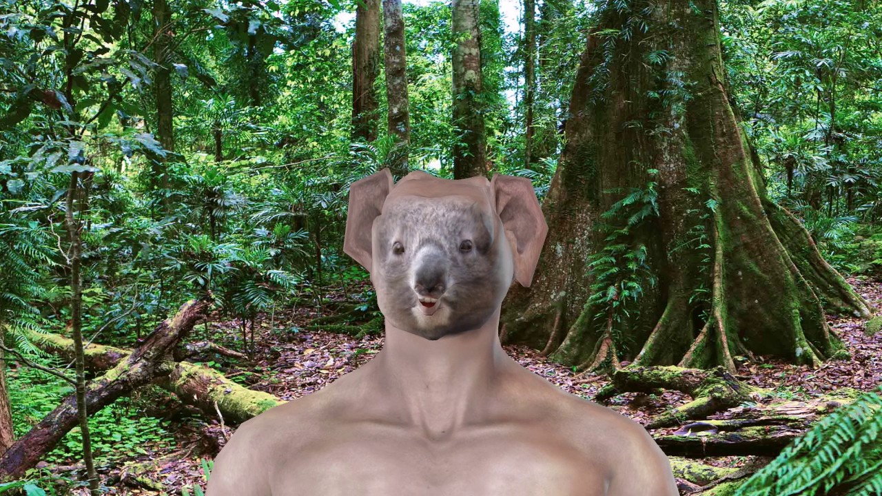 Weird stuff for fun Koala Man 01 YouTube