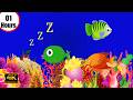 Sleep Music For Babies ♥ Mozart Brahms Lullaby ♫ Babies Fall Asleep Quickly After 10 Minutes #52