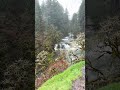 #fypシ゚viral #followme #viralvideo #ihavethisthingwithplants