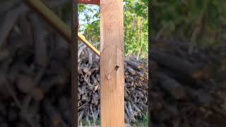 How Traditional Wood Joints Work Without Nails!