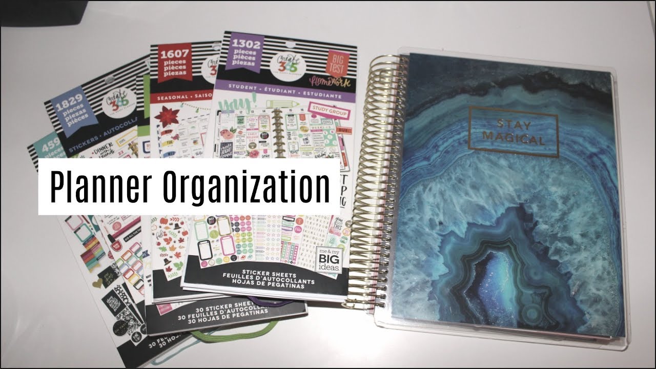 How I Organize My Planner ft. Michael's Recollections Planner