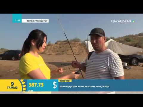Балық аулау демалысы | Таңшолпан Нышанбай