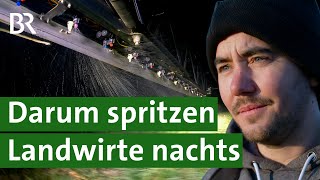 Unkraut Bekämpfen In Der Landwirtschaft Warum Spritzen Bauern Nachts? Unser Land Br
