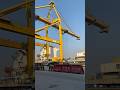 Chittagong port lifting crane #shortsfeed #shorts #crane #technology