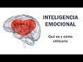 Inteligencia emocional qu es y cmo utilizarla