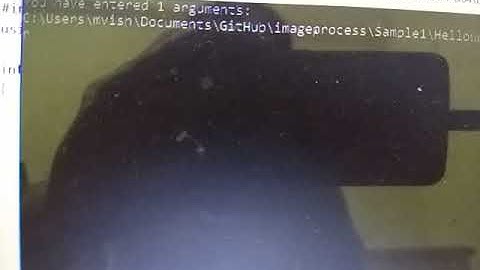 C ++ how to pass arguments into main function in Visual Studio