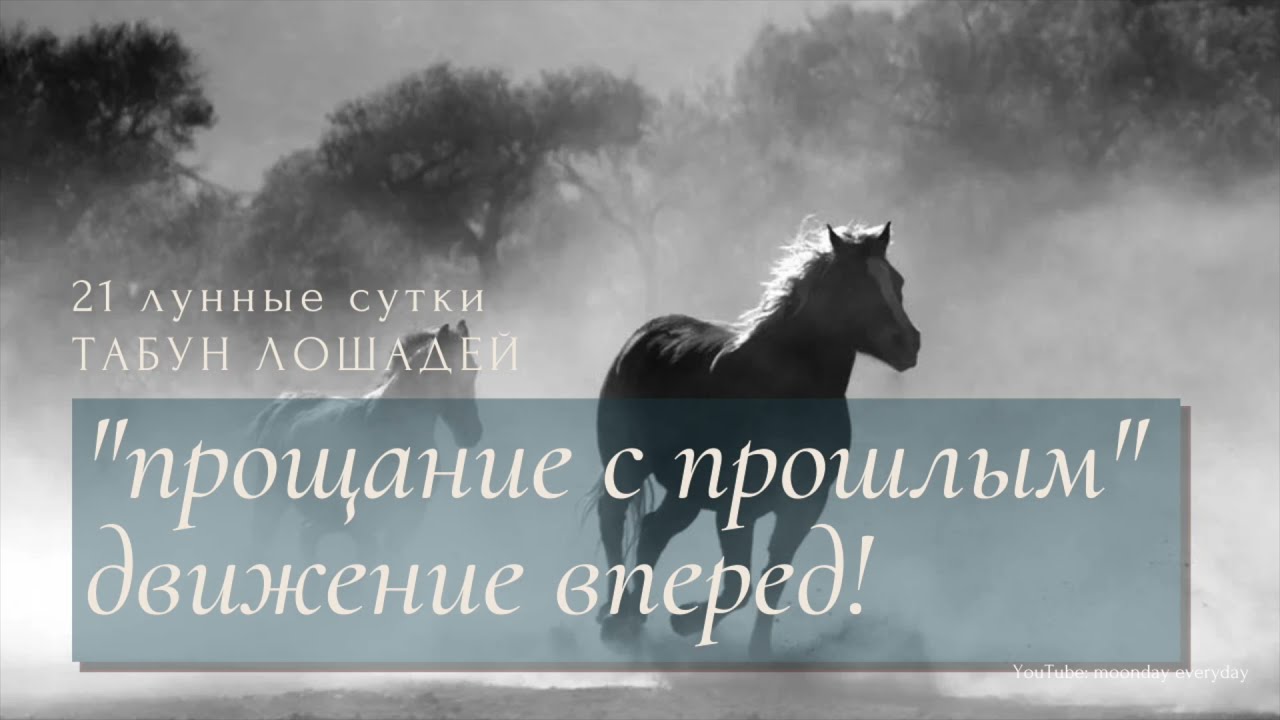 1 ИЮЛЯ | 21 ЛУННЫЙ ДЕНЬ | СИМВОЛ ТАБУН ЛОШАДЕЙ | ЛУННЫЙ КАЛЕНДАРЬ 2021